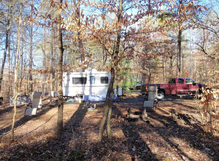 Campsite C7