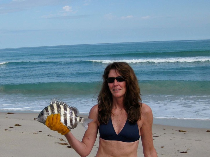 First Sheepshead caught in the surf