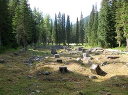 Glacier House ruins