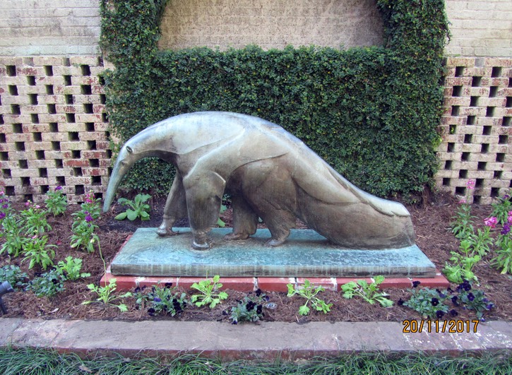 Great Anteater