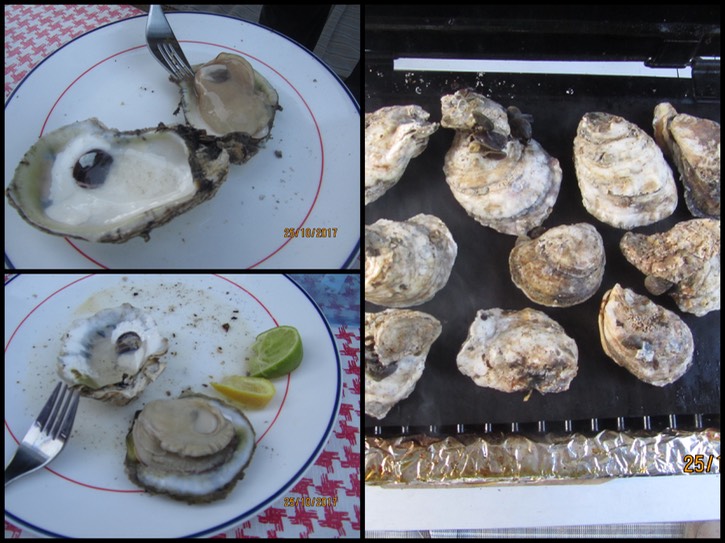 oysters.jpg