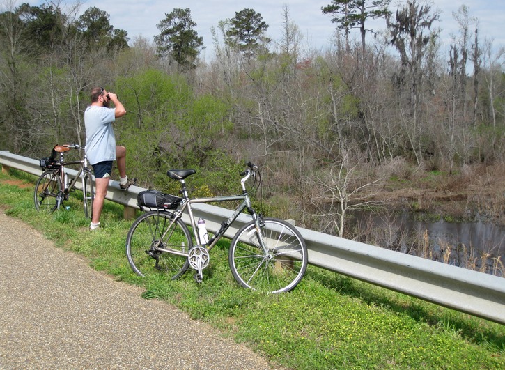 Still looking for gators