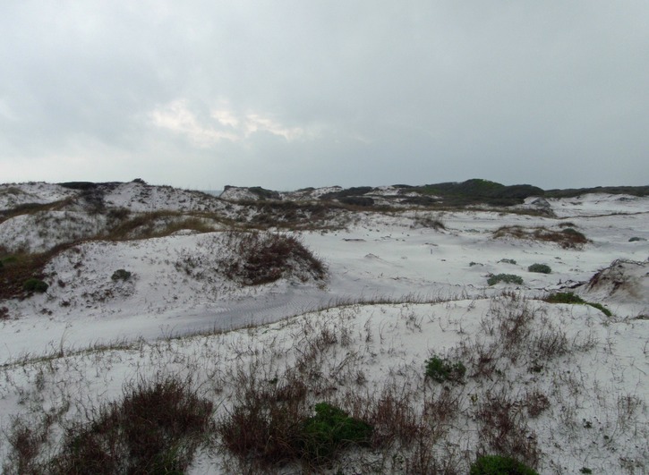 Topsail Dunes