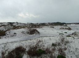 Topsail Dunes