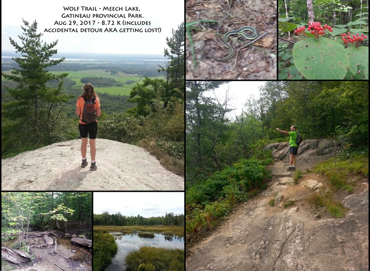 Wolf Trail collage