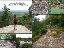 Wolf Trail collage