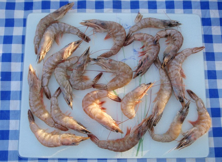 1 lb of shrimp $5.95