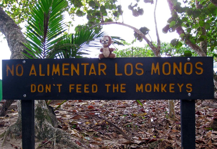 Don't feed the monkeys