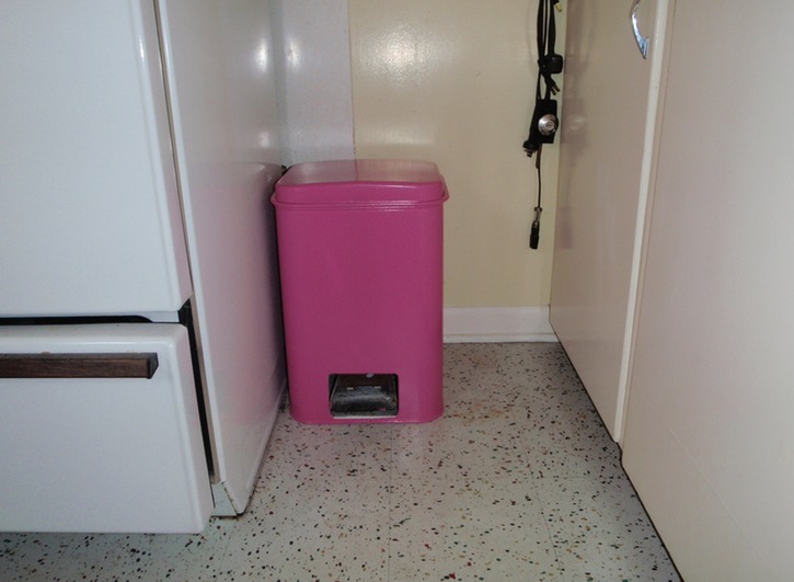 Pink Garbage can