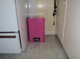 Pink Garbage can