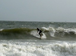 Surfer dude 2