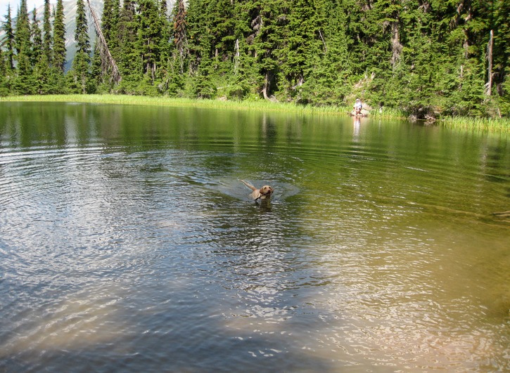 Swimmin in Marion Lake