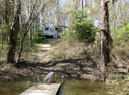 View of campsite from our dock