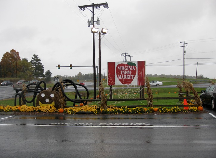 Virginia Farmers Halloween Market