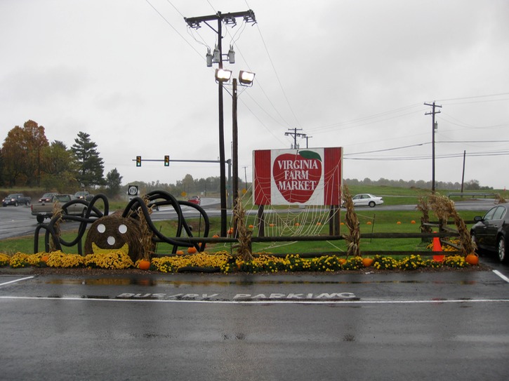 Virginia Farmers Halloween Market